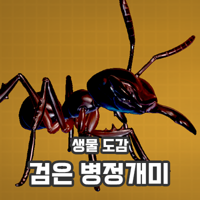 곤충배틀 업뎃 대표 이미지