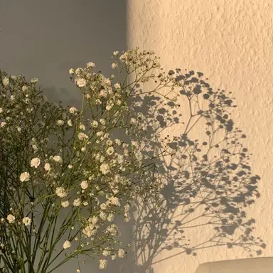 Profile image of 가든