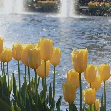 Profile image of 마포