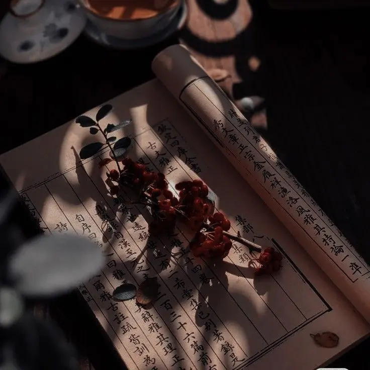 Sanada152999의 Nanboku-cho Period