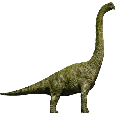 Profile image of 브라키오사우루스