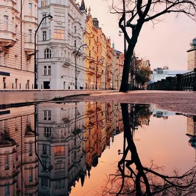 Profile image of ローレン・イロアス