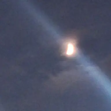 Profile image of 윤동희