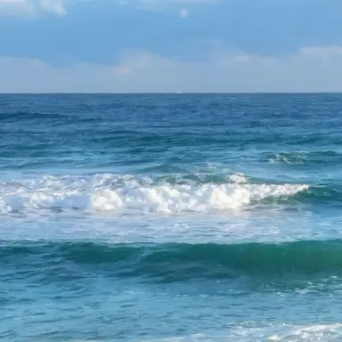 Profile image of 아르민 알레르토