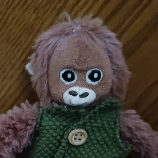 새끼오랑이