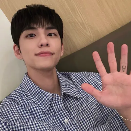 sxl4._s의 원필