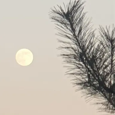 Profile image of 잭