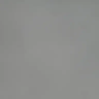 Profile image of 니노 선데이