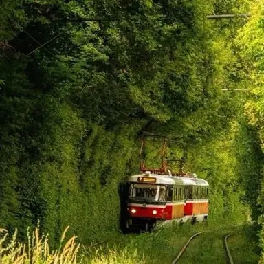 Profile image of 슈크