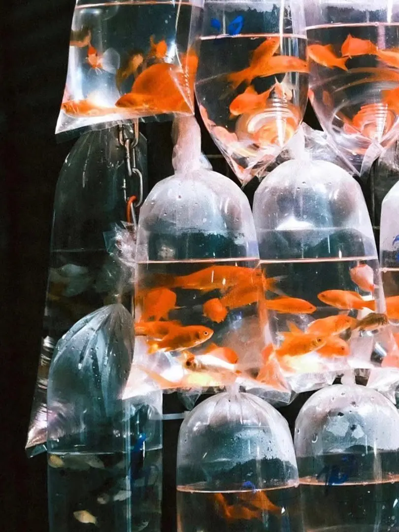 decadent.romantic의 九龍寨城