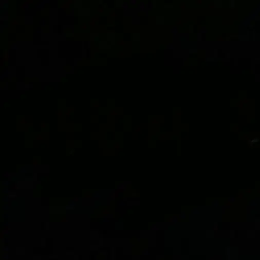 2000.6.6의 ­