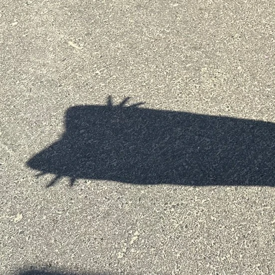 설윤아