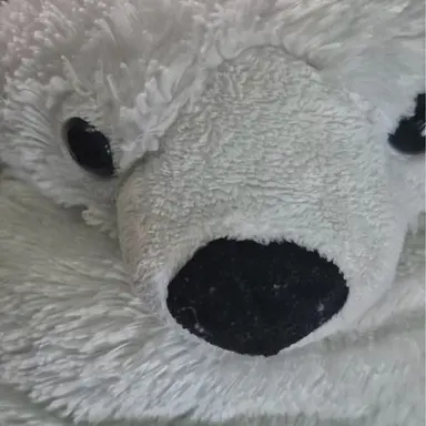 Profile image of 곰탱이