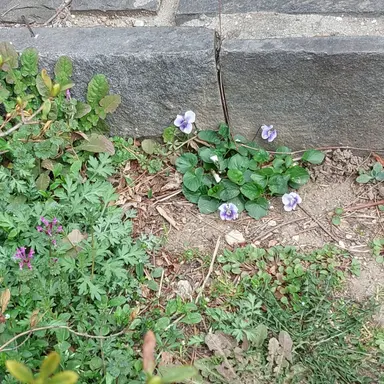 Profile image of 해피시즈닝아카데미