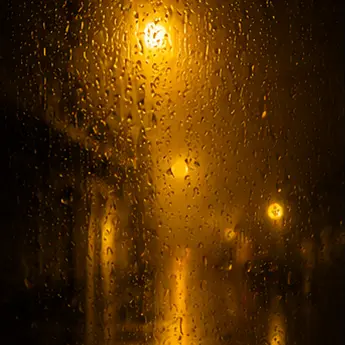 Profile image of 준브레드