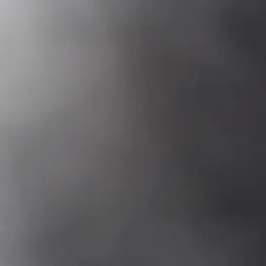 Profile image of 윈터