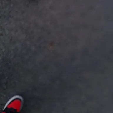 Profile image of 오비스트