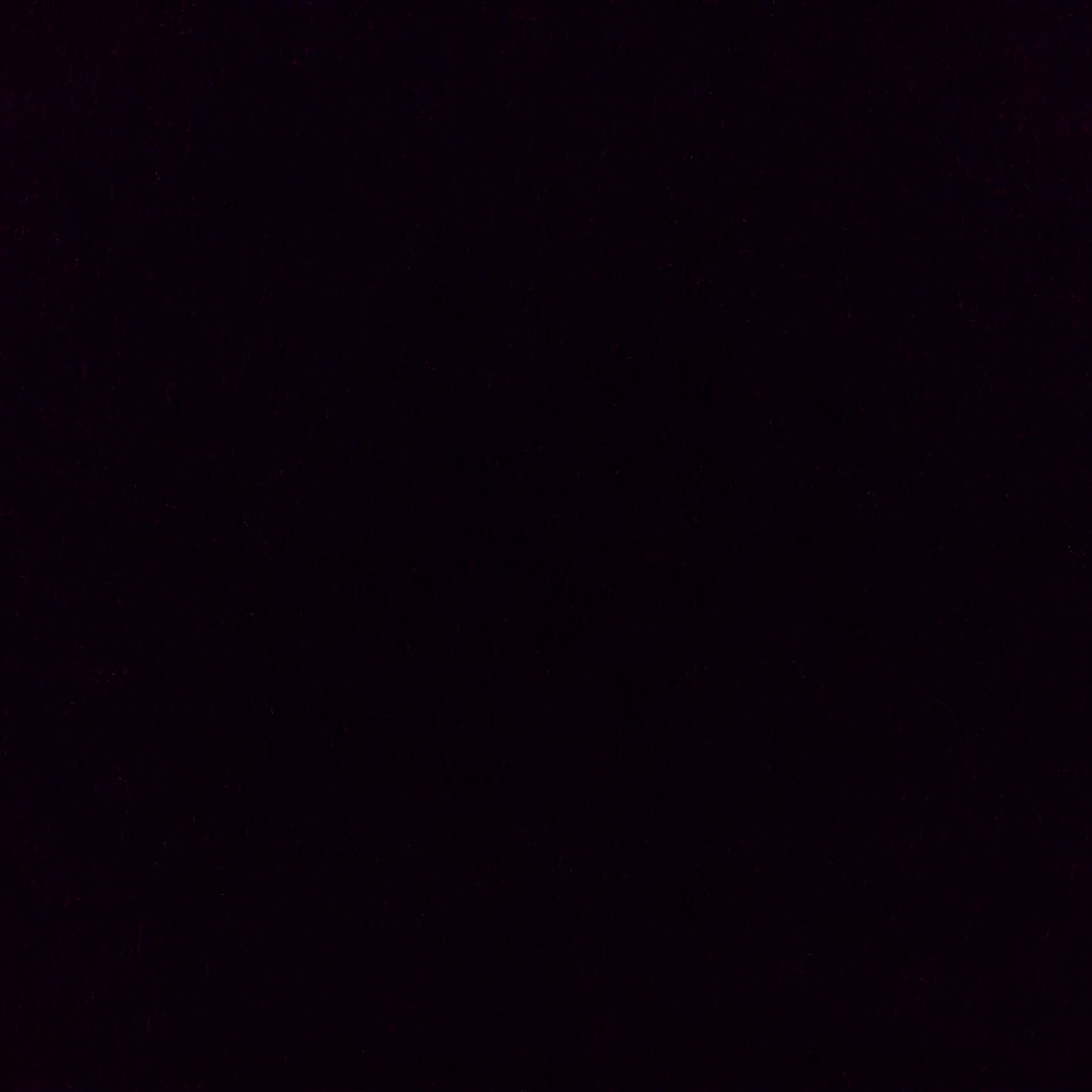 ㅇㅇ태권도 시범단 대표 이미지