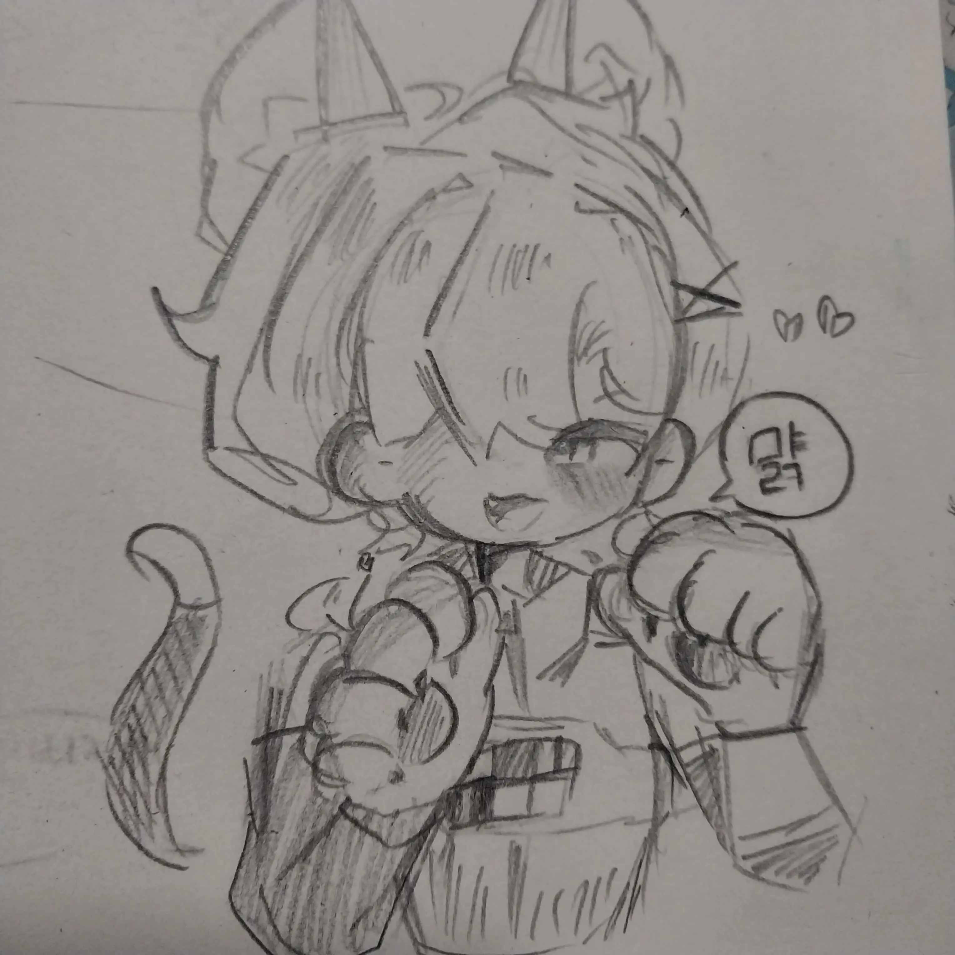 KKK12345의 잭냥이