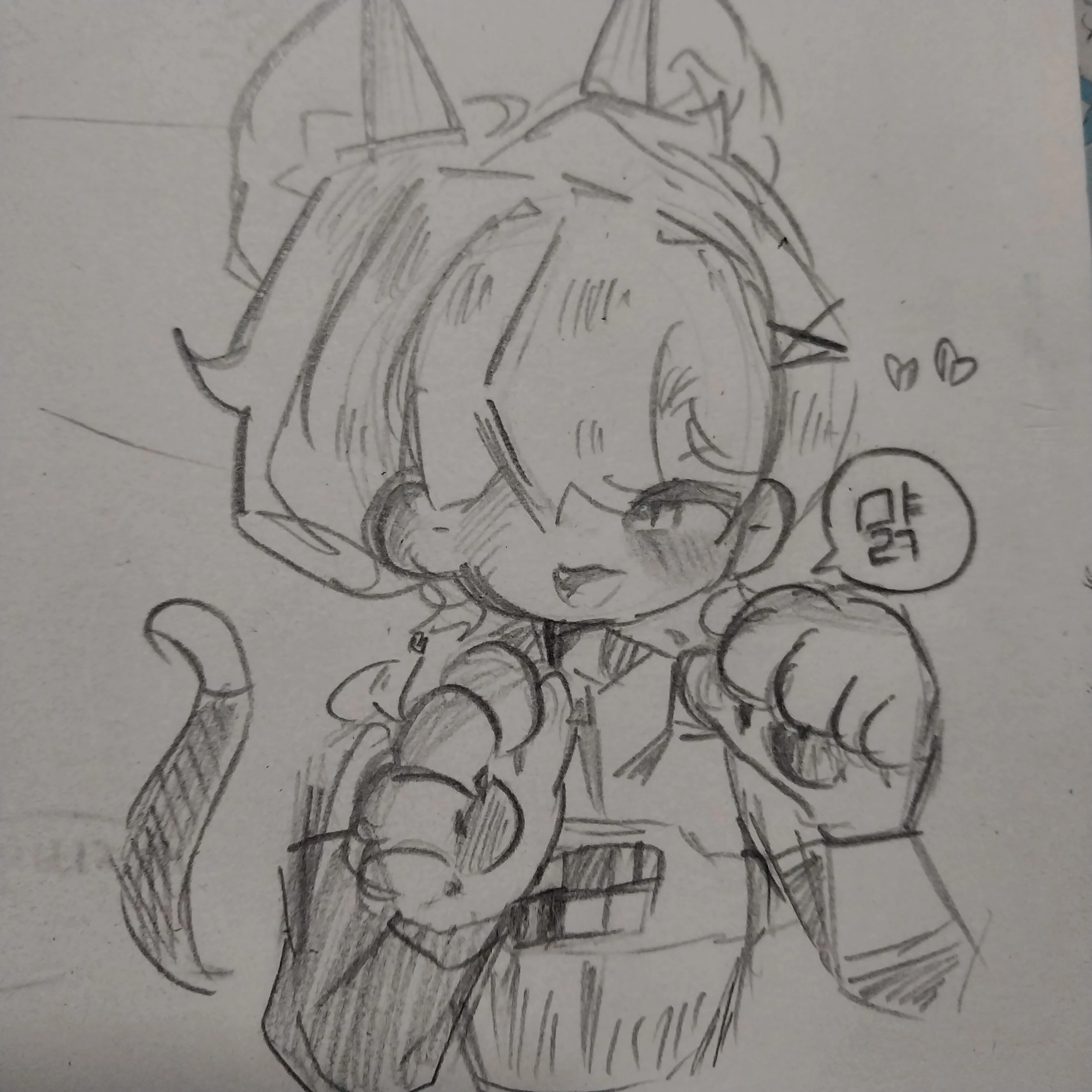 잭냥이