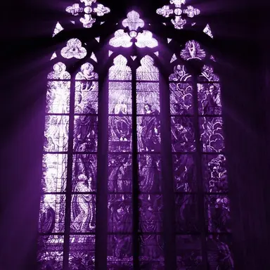 Profile image of 수현