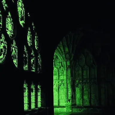 Profile image of 공룡