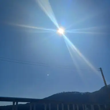 Profile image of 쉘리