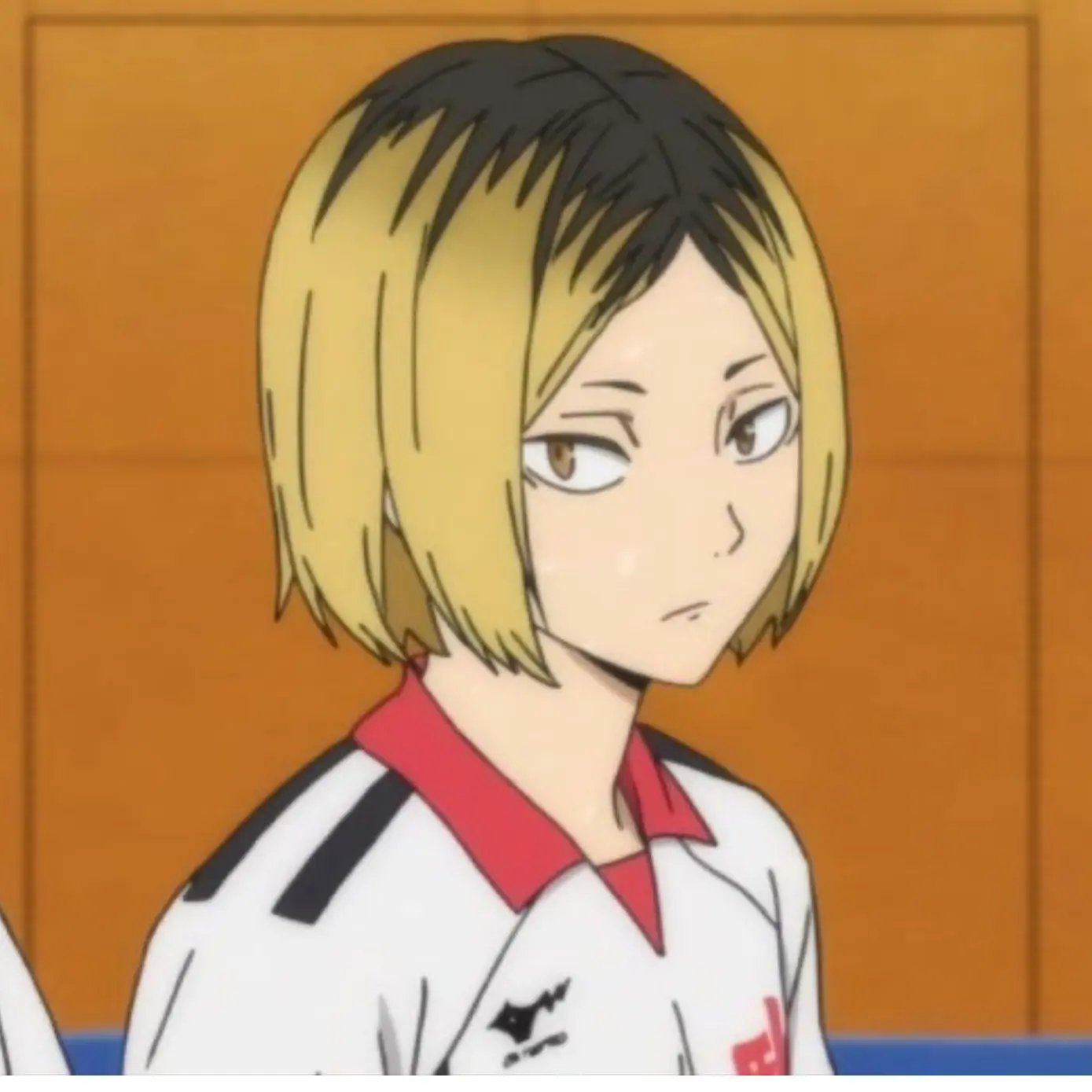 Caaaaaaaaaaat의 코즈메 켄마(여우) 여름편임 힛