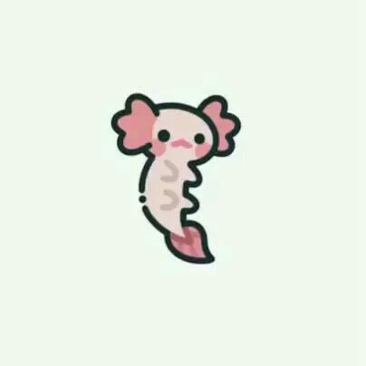 랜디