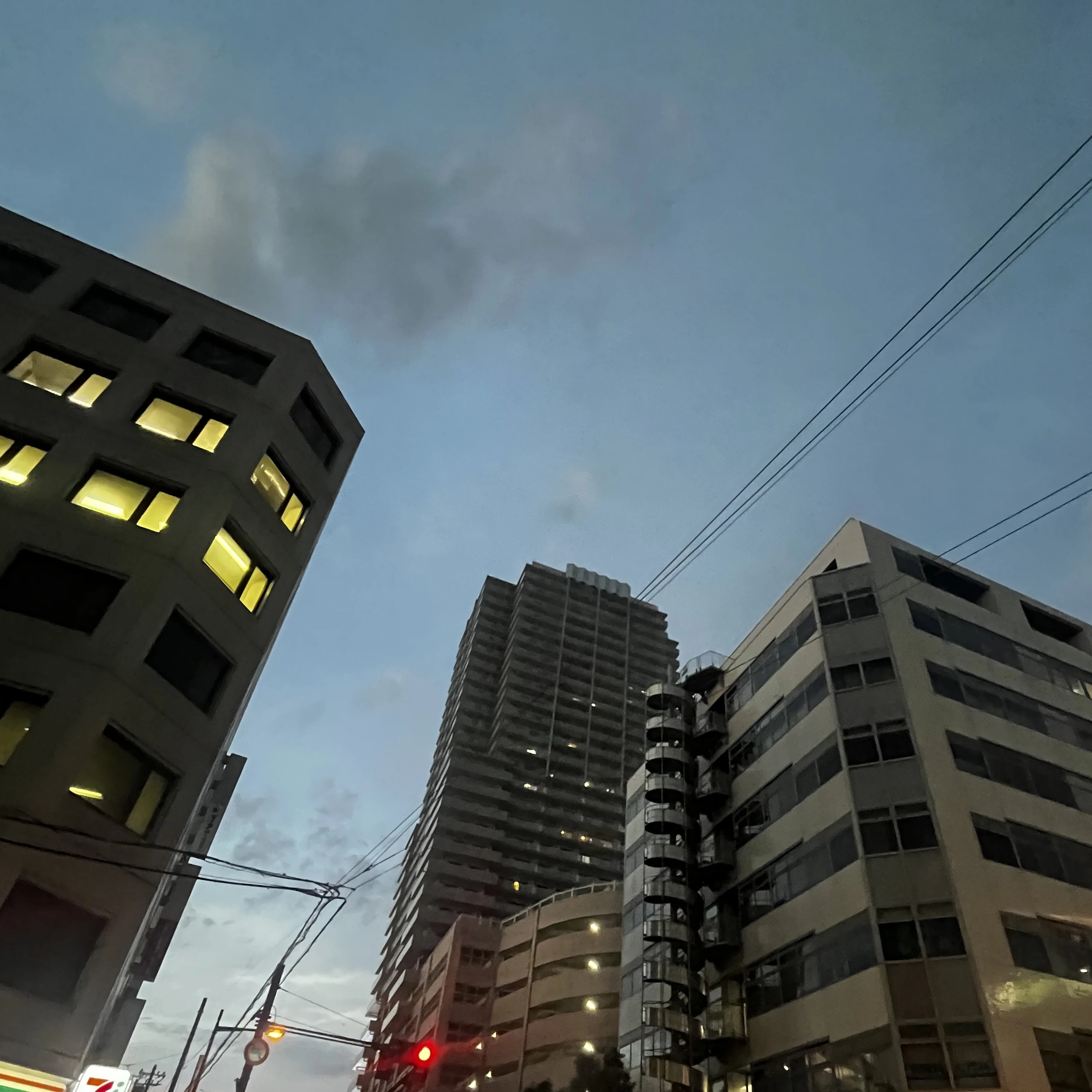 りゅうと
