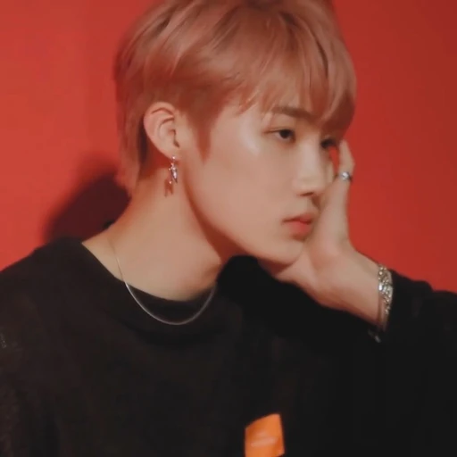 최찬희