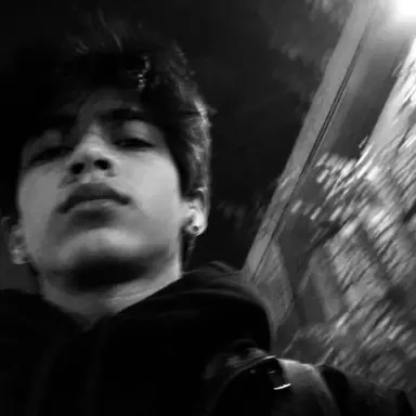 Profile image of Damian