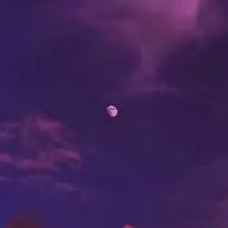 Profile image of 황수현