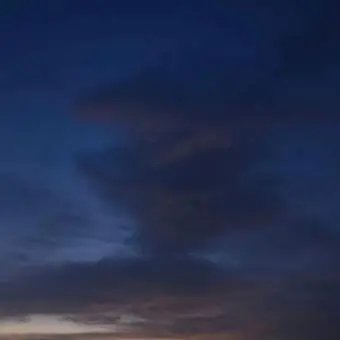 Profile image of 박잠뜰