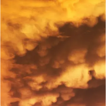 Profile image of 김각별