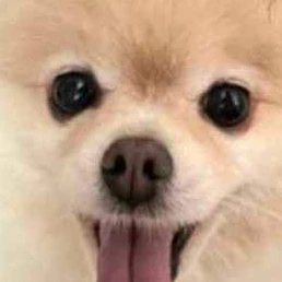 이이이