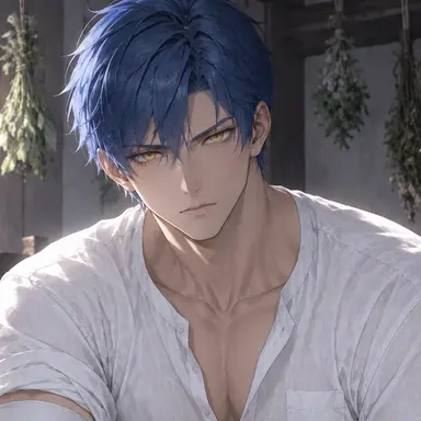 Profile image of アルヴィス