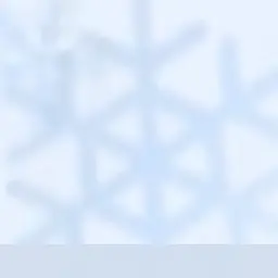 ExpertLight9621의 담임 선생님 정한
