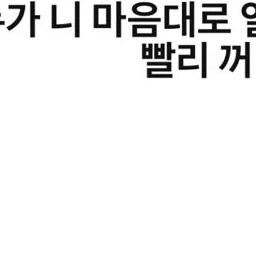 실험체 고고프렌즈