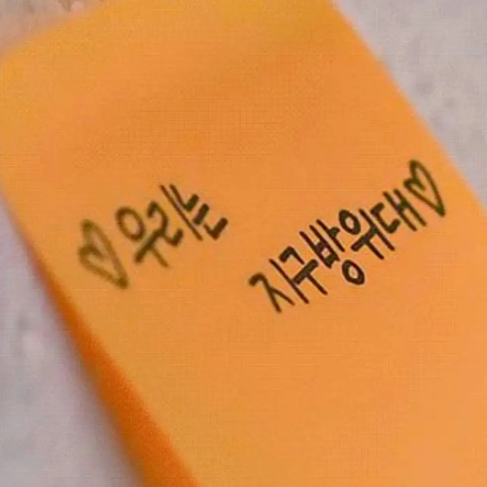 RobustPea2071의 강지구