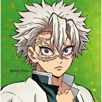 Profile image of 시나즈가와 사네미