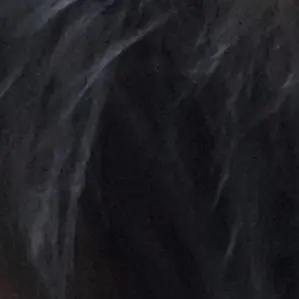 Profile image of 정신줄놓은카카피피바