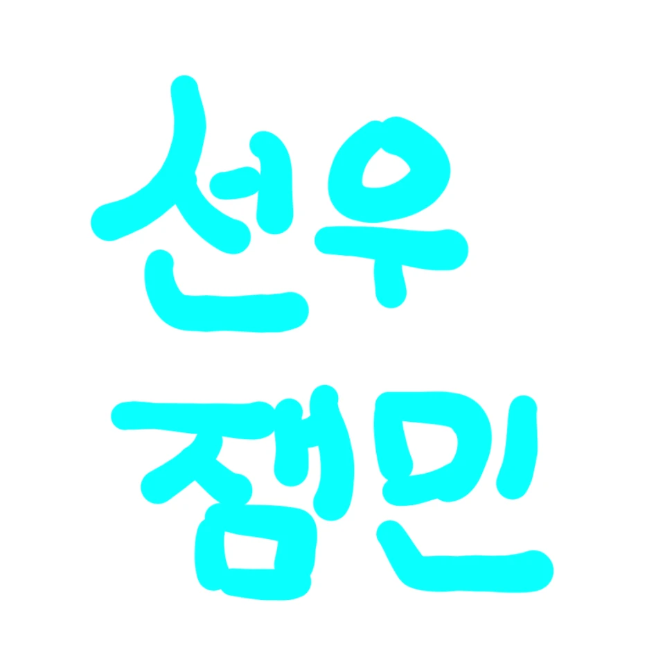 선우잼민