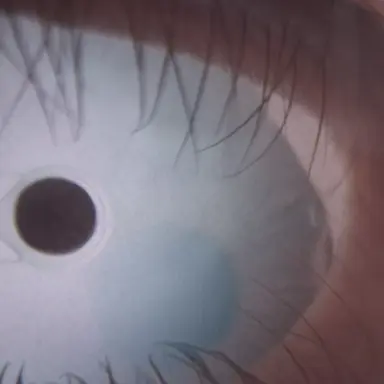 Profile image of 고죠 사토루