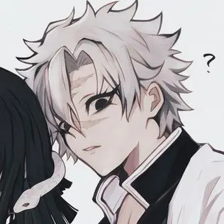 Profile image of 시나즈가와 사네미