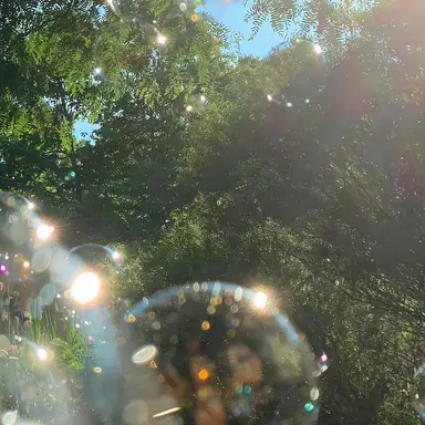 Profile image of 정공룡