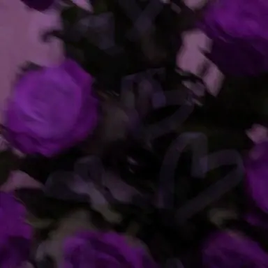 Profile image of 황수현