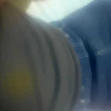 Profile image of 西本 あかね