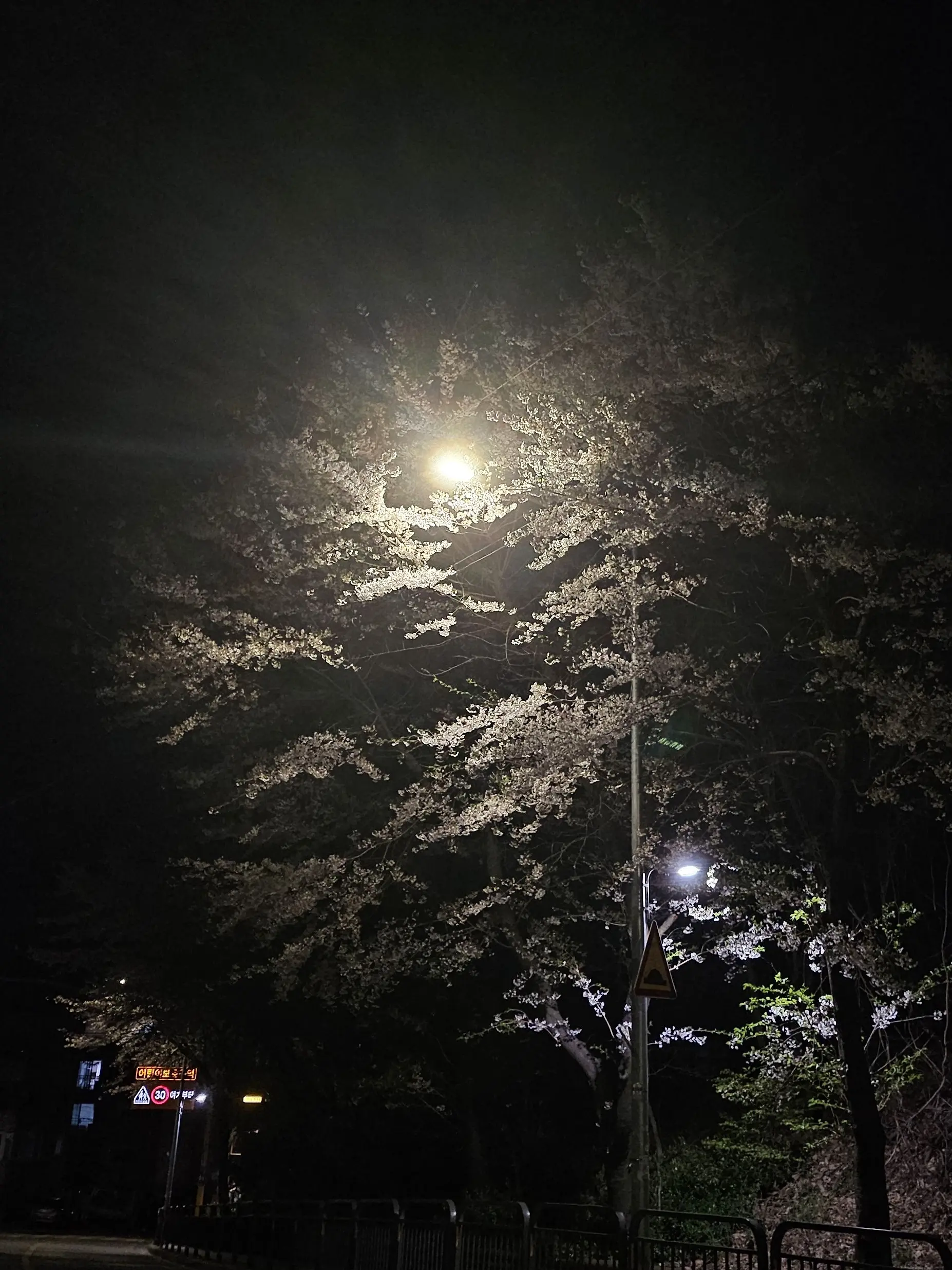 jangjorim009의 소이(oc)