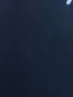 PrimalPool2511의 イトゥク